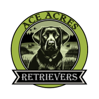 Ace Acres Retrievers