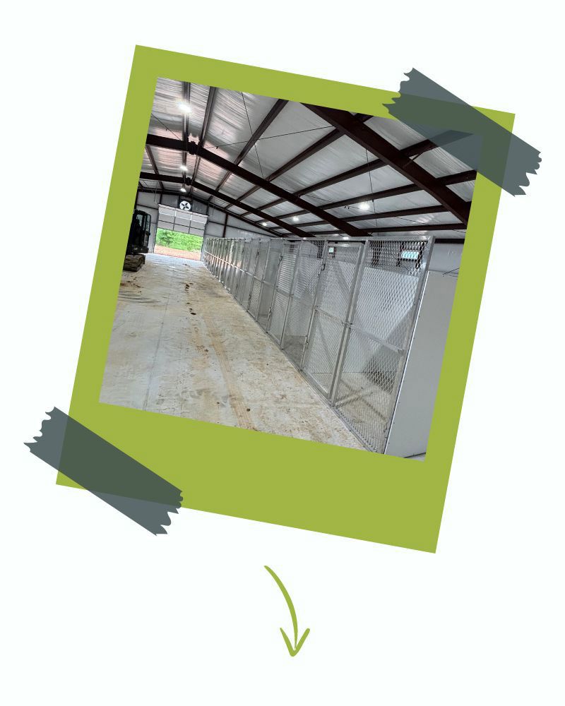 dog training facility