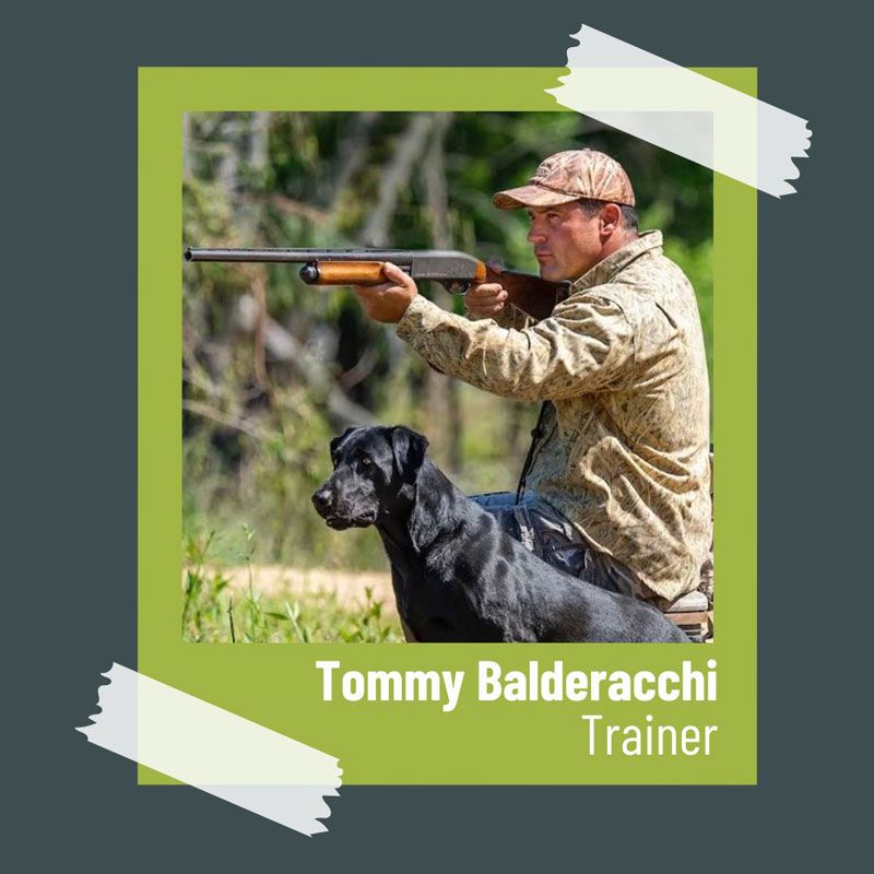 tommy balderacchi, dog trainer in beebe