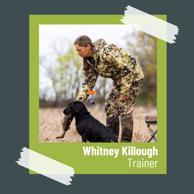 whitney killough, dog trainer in beebe arkansas
